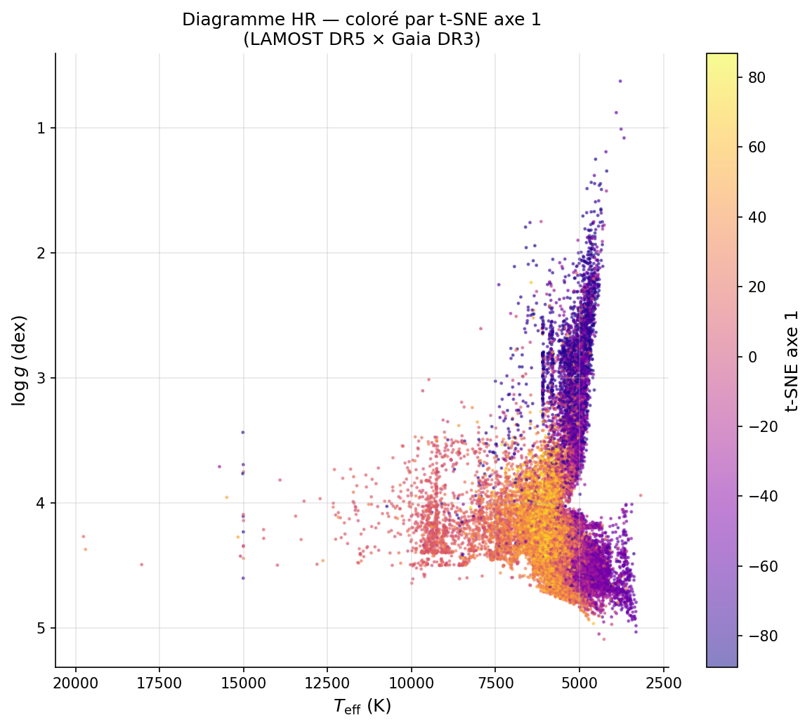 Diagramme HR coloré axe 1 t-SNE