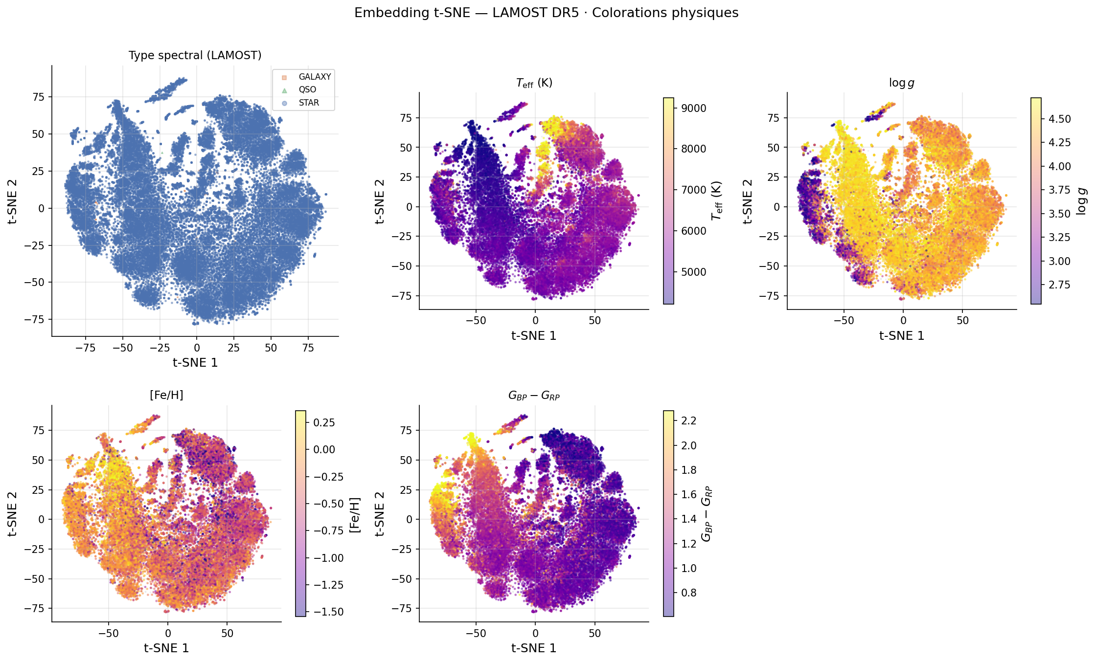 Projection t-SNE